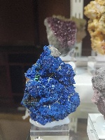 Mineral 13 - MineralExpo 2026
